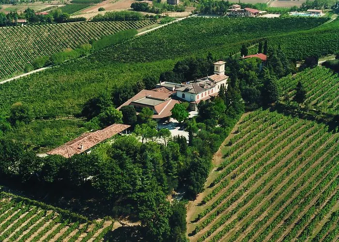 Fattoria Paradiso Bertinoro